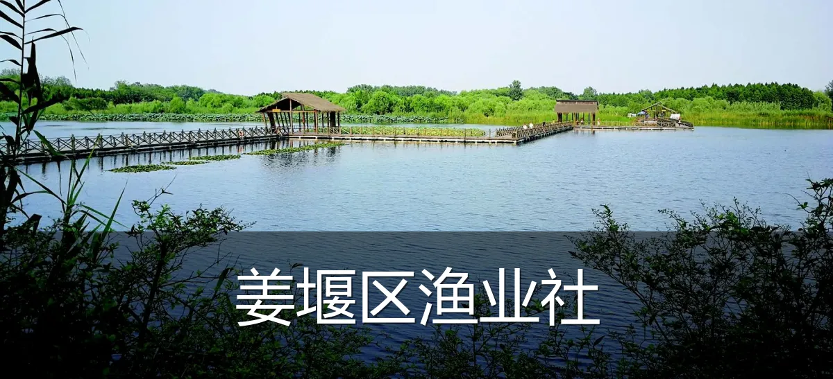 姜堰区渔业社