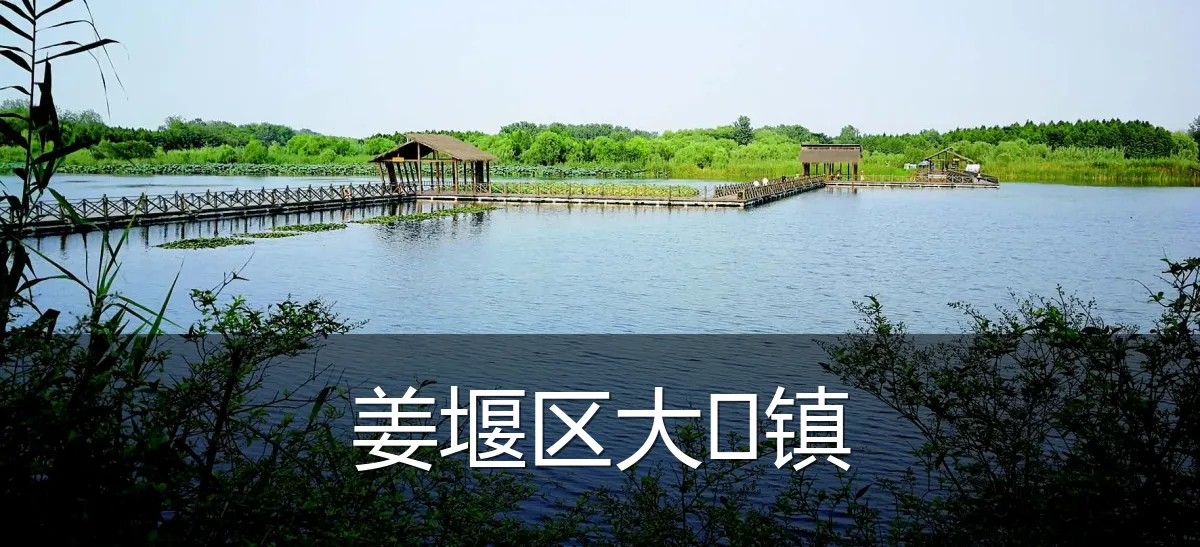 姜堰区大镇