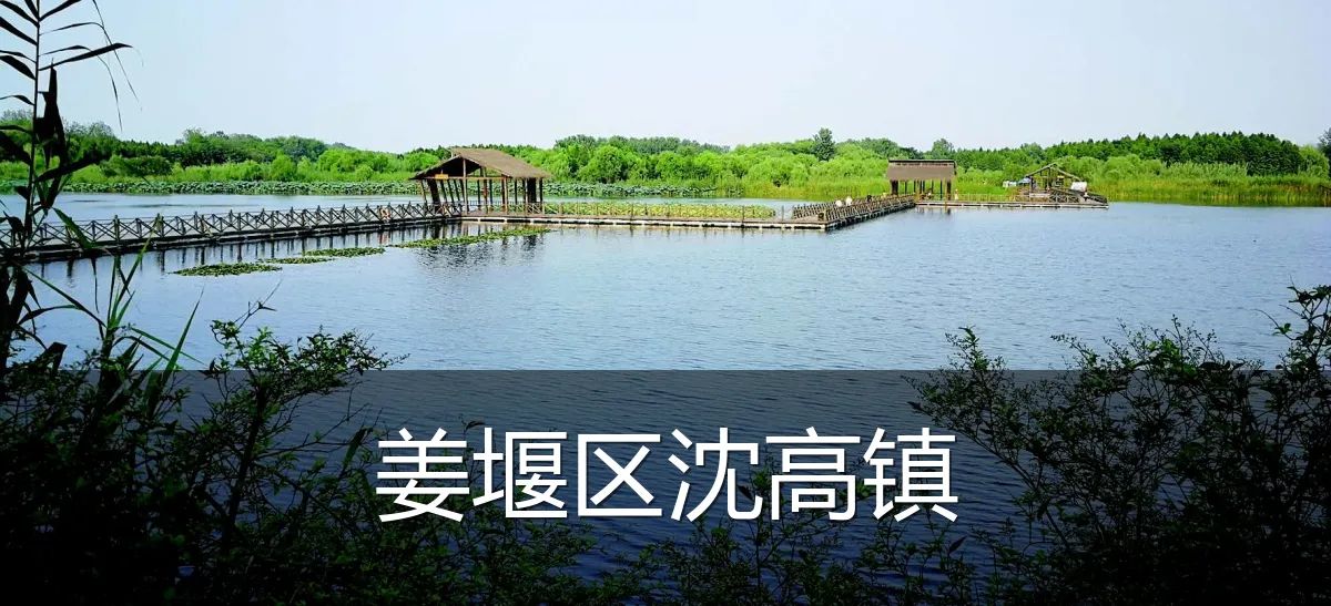 姜堰区沈高镇